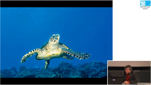 Acquario di Genova | Video Conferenze